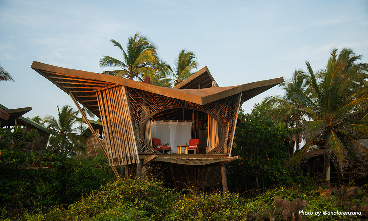 Unique wooden treehouse with large slanted roof and circular window, surrounded by palm trees and lush greenery at sunset.