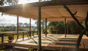 Outdoor wooden yoga deck with mats under a canopy, surrounded by lush greenery and trees in a serene natural setting.