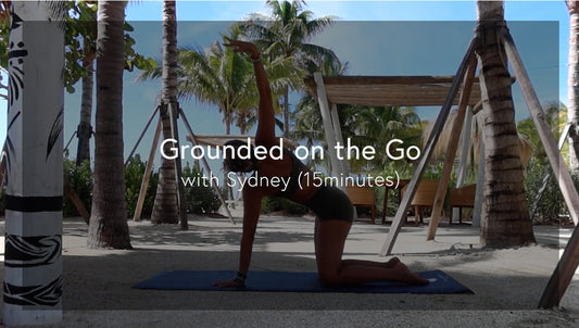 Grounded on the Go Flow with Sydney