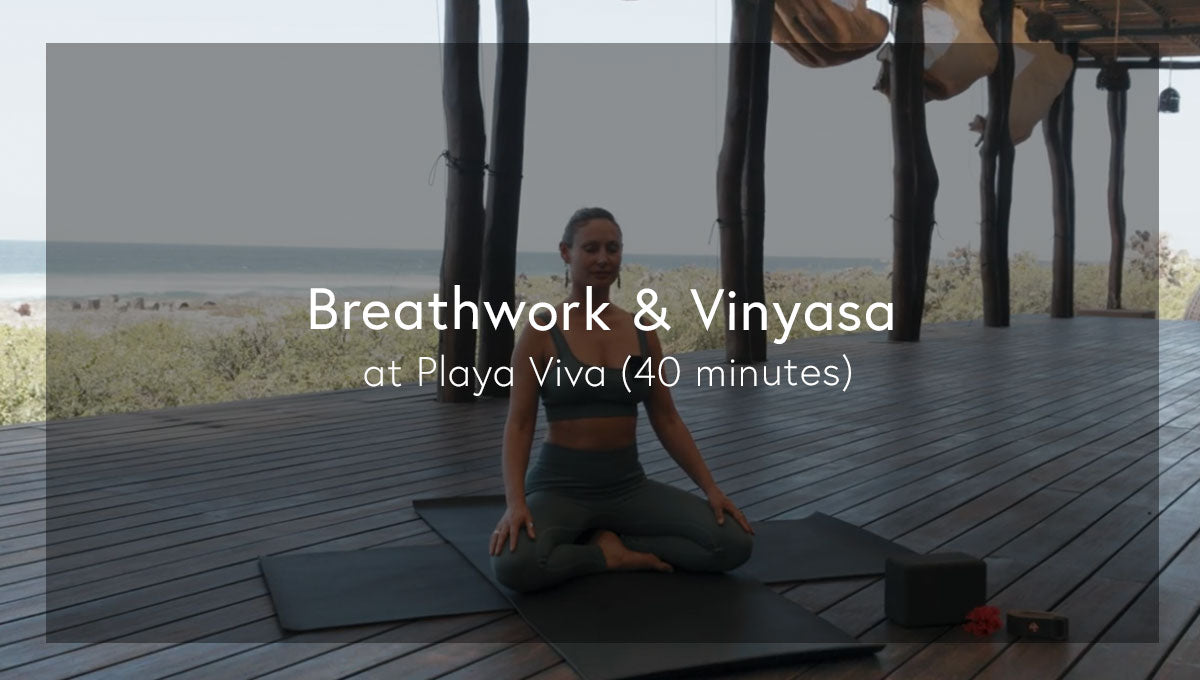 Breathwork and Vinyasa Yoga Flow at Playa Viva