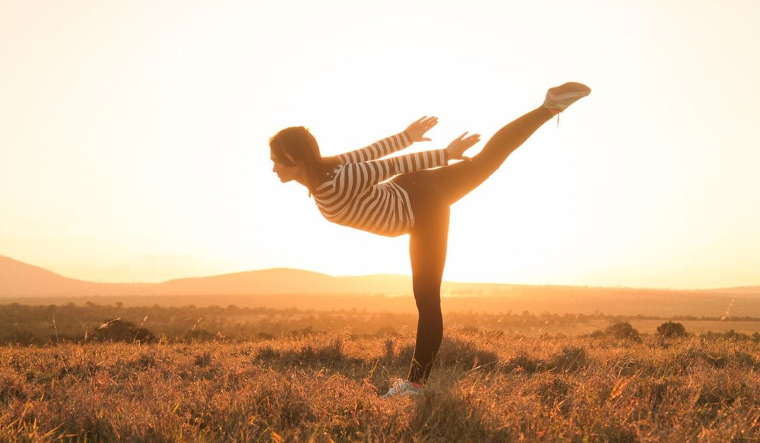 Silhouetted yoga teacher striking a high kick against a glowing sunset, surrounded by grassy fields and distant mountains.