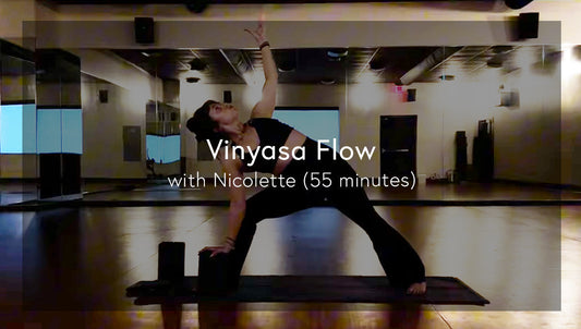Vinyasa Flow with Nicolette